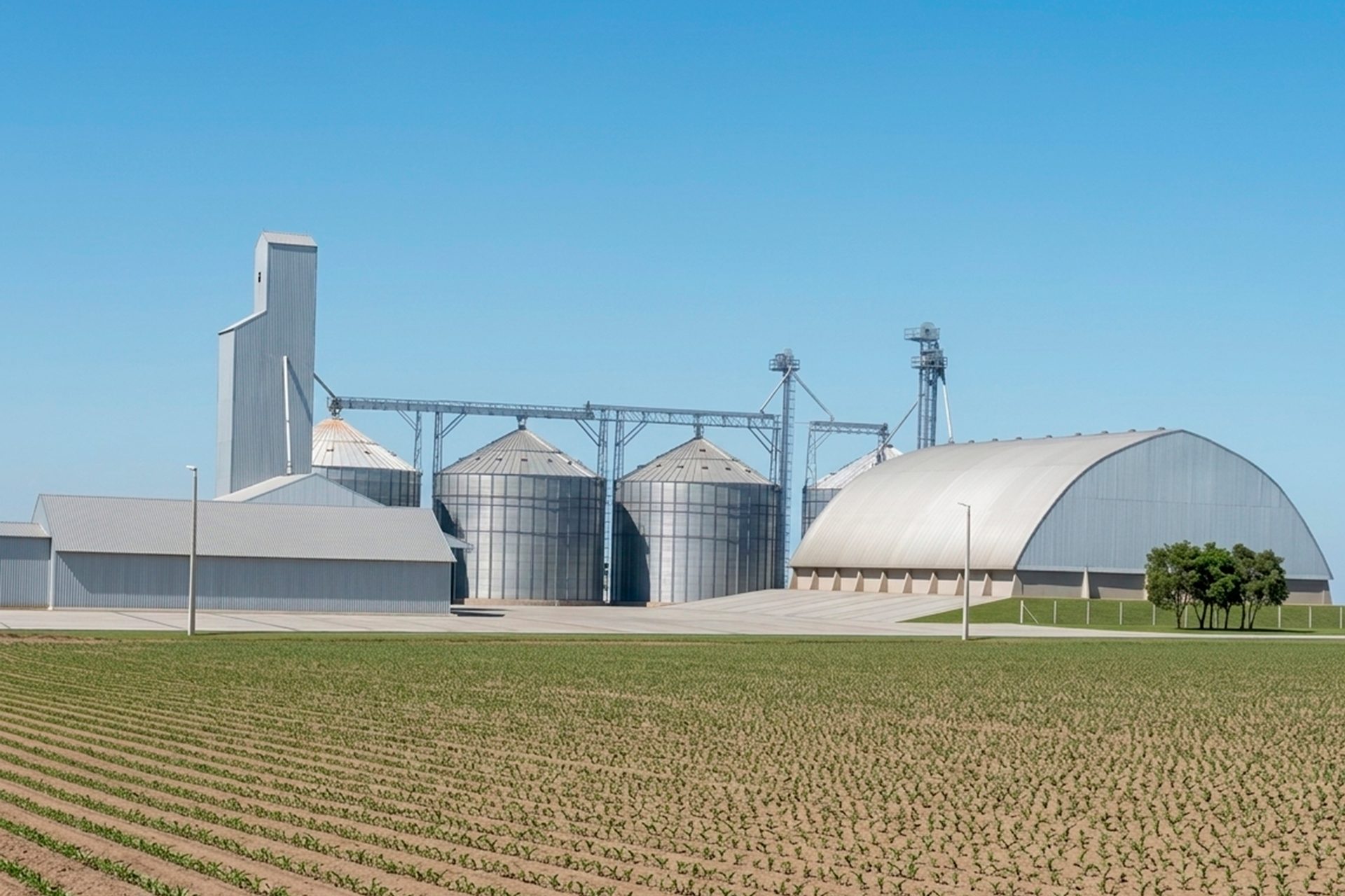 Silos y almacén Coopasan en Toncal 3